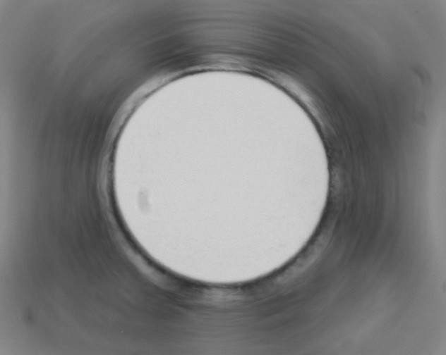 X0000113101379200910091130