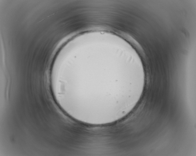 X0000113101380200910091130