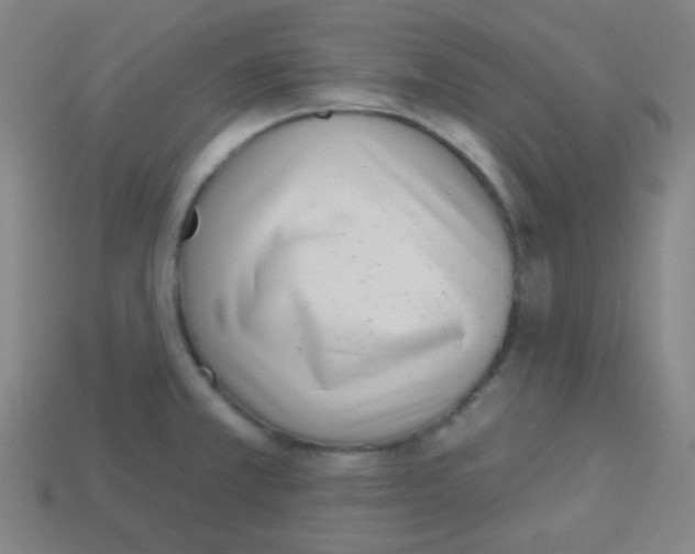X0000113101381200910091130