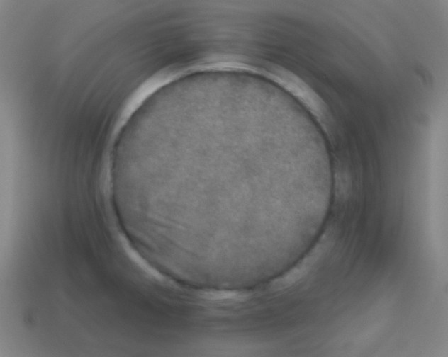 X0000113101382200910091130