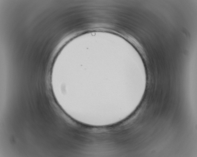 X0000113101384200910091130