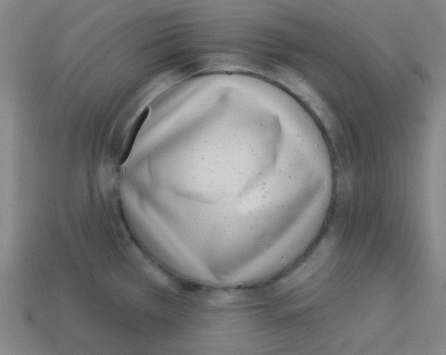 X0000113101385200910091130