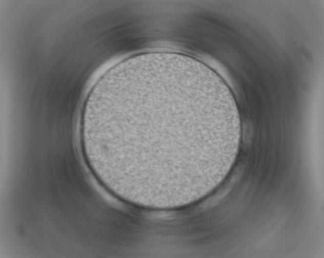 X0000113101387200910091130