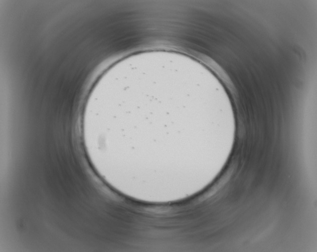 X0000113101388200910091130
