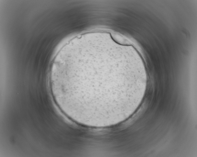X0000113101390200910091130