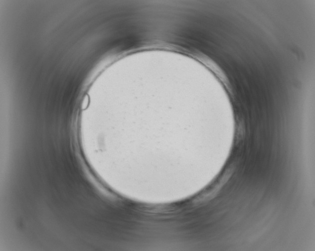 X0000113101391200910091130
