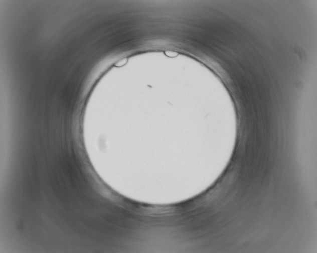 X0000113101392200910091130