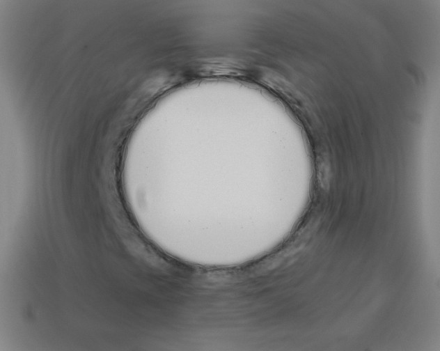 X0000113101393200910091130