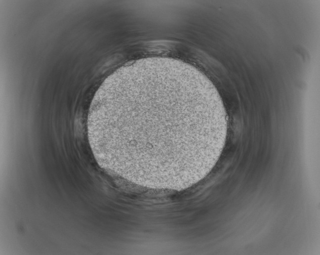 X0000113101394200910091130