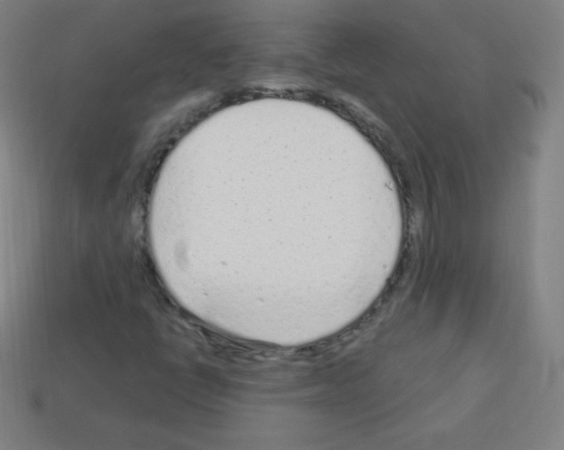 X0000113101398200910091130
