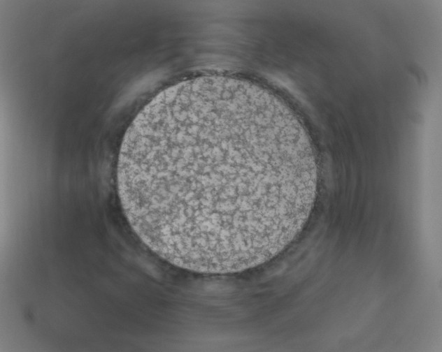 X0000113101399200910091130