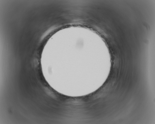 X0000113101400200910091130