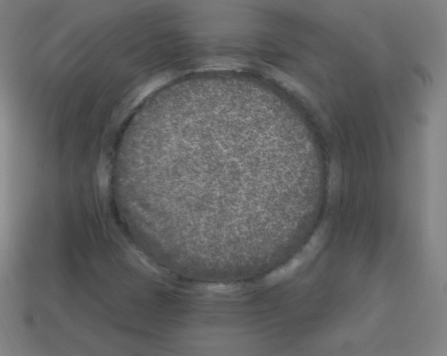 X0000113101401200910091130