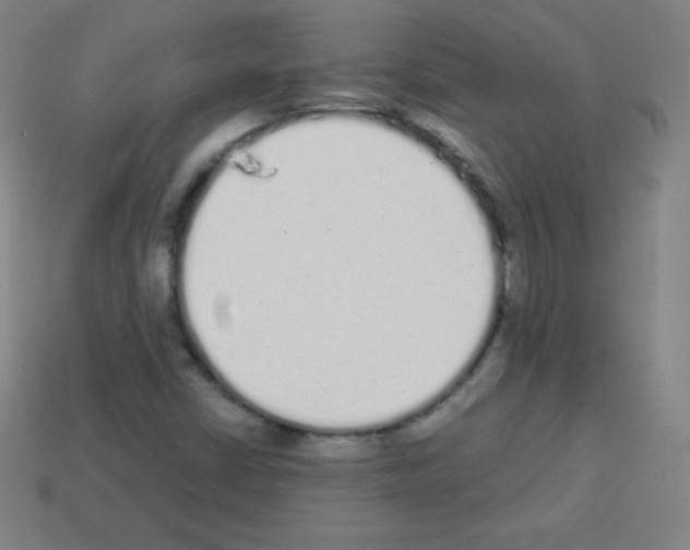 X0000113101402200910091130