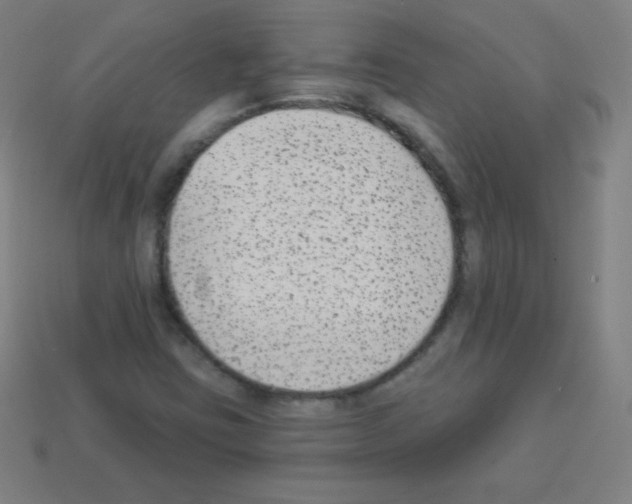 X0000113101403200910091130