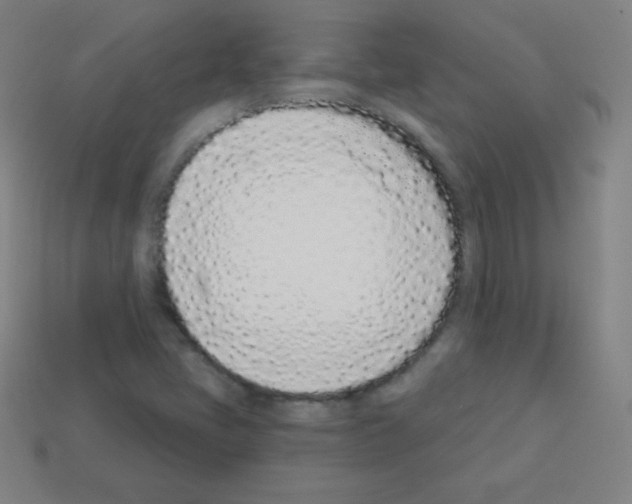 X0000113101405200910091130