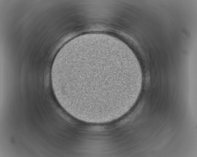 X0000113101409200910091130