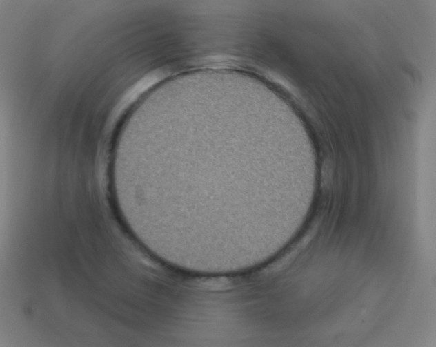X0000113101410200910091130