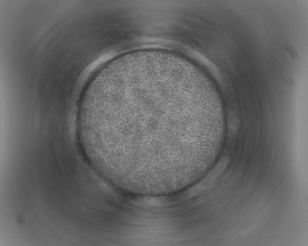 X0000113101411200910091130