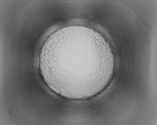 X0000113101413200910091130