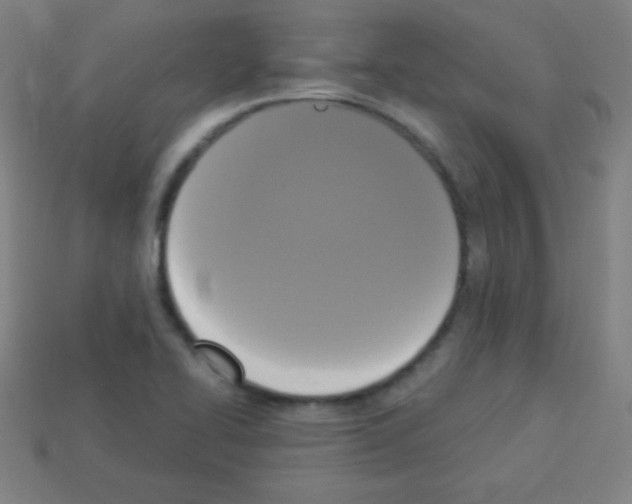 X0000113101414200910091130