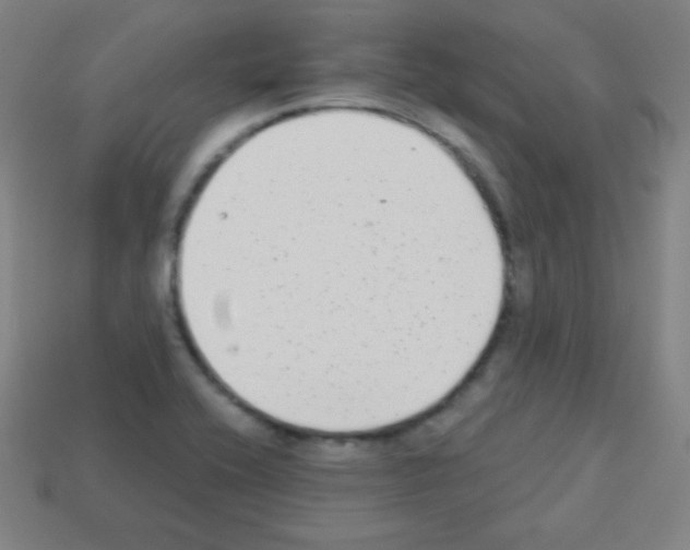 X0000113101416200910091130