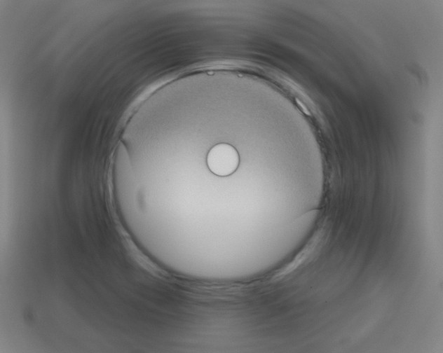 X0000113101417200910091130