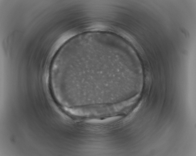 X0000113101418200910091130