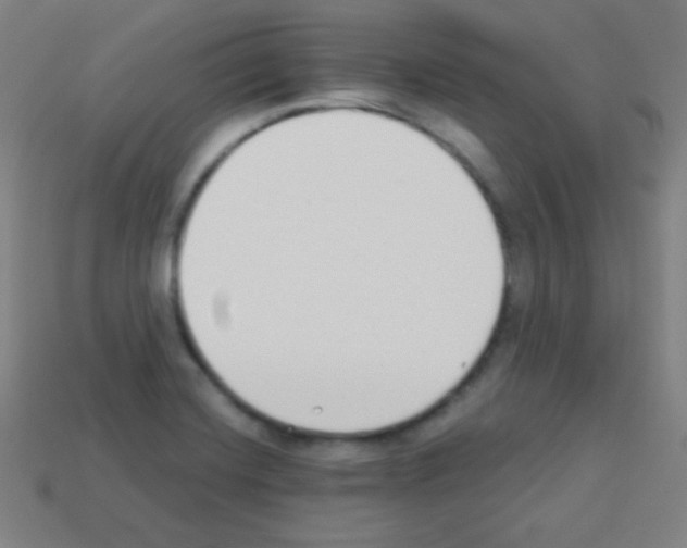 X0000113101420200910091130