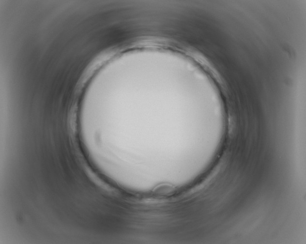 X0000113101421200910091130
