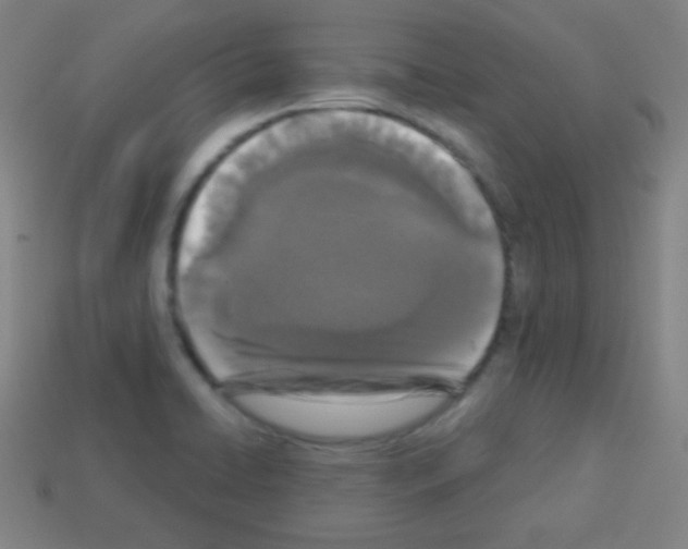 X0000113101422200910091130