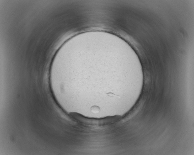 X0000113101423200910091130