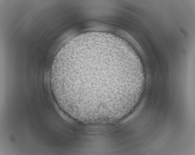 X0000113101425200910091130