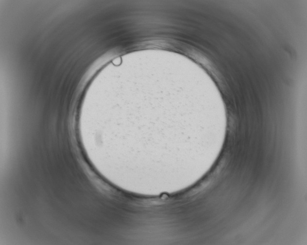 X0000113101426200910091130