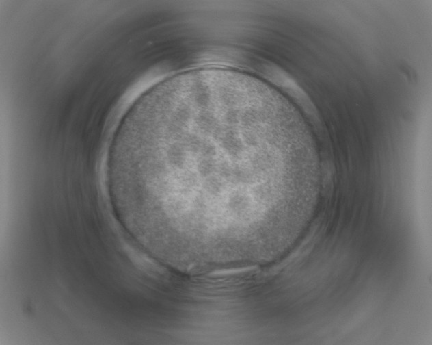 X0000113101427200910091130