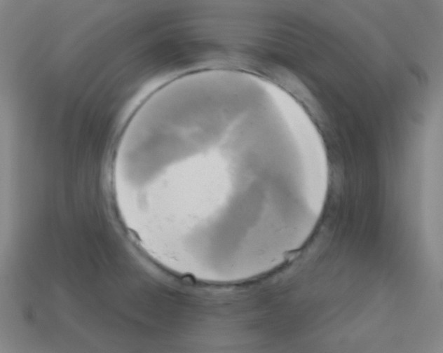 X0000113101428200910091130