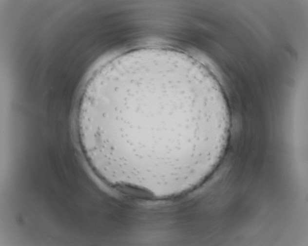 X0000113101429200910091130