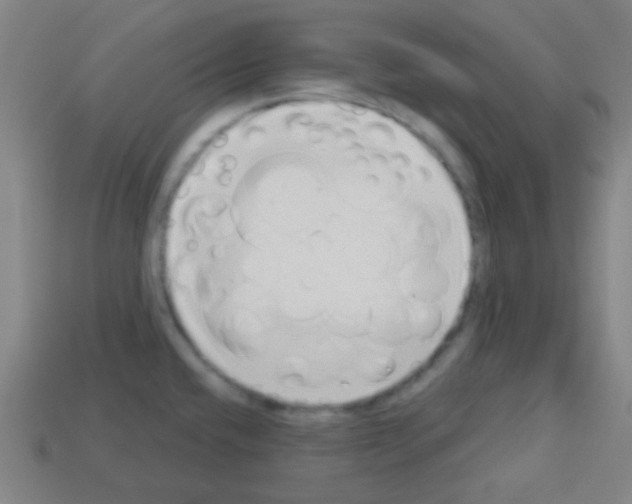 X0000113101432200910091130