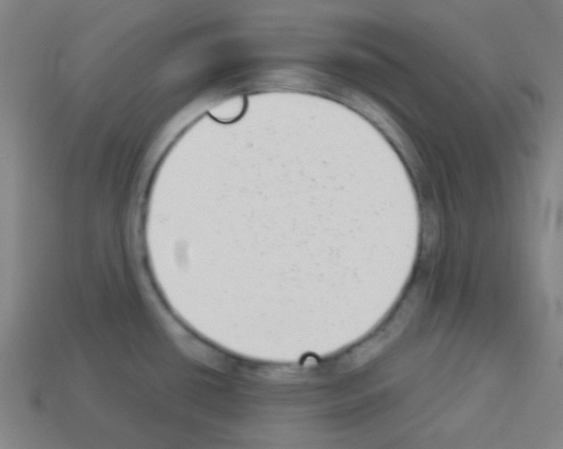 X0000113101434200910091130