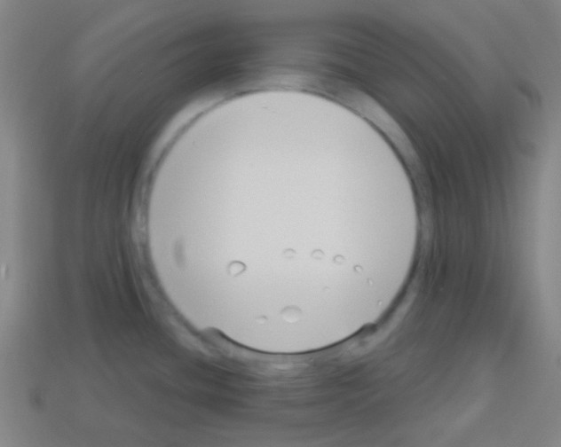X0000113101436200910091130