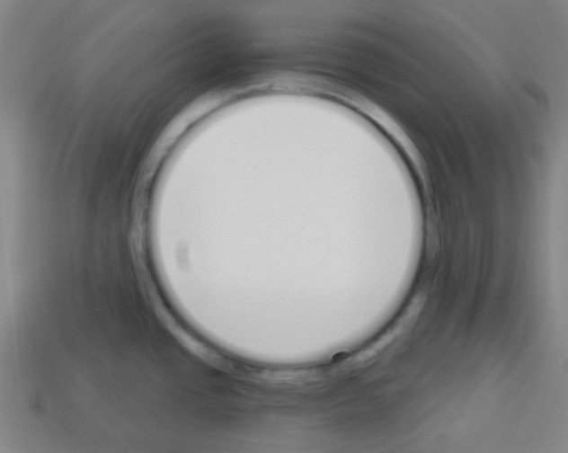 X0000113101437200910091130
