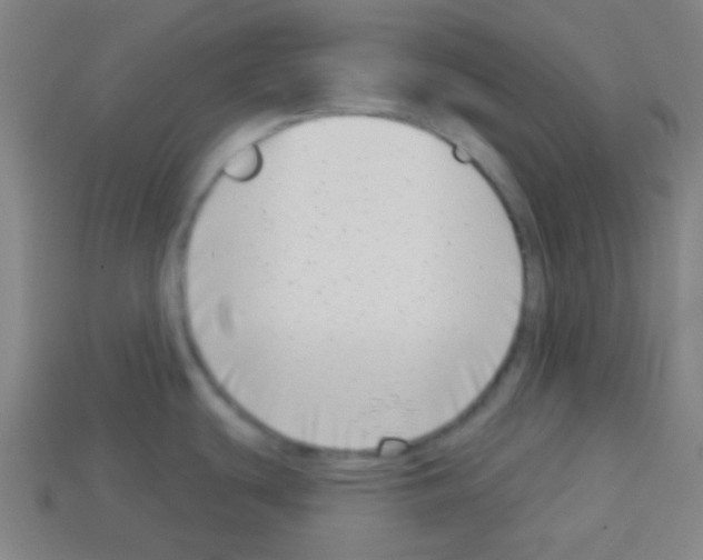 X0000113101439200910091130