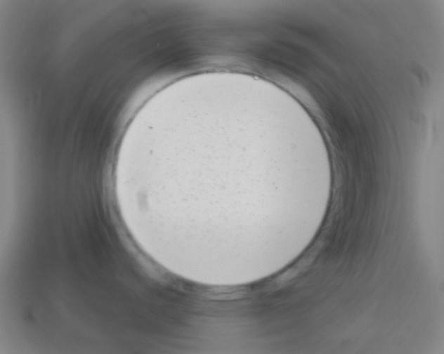 X0000113101440200910091130