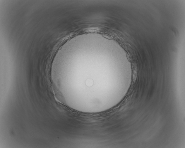 X0000113101441200910091130