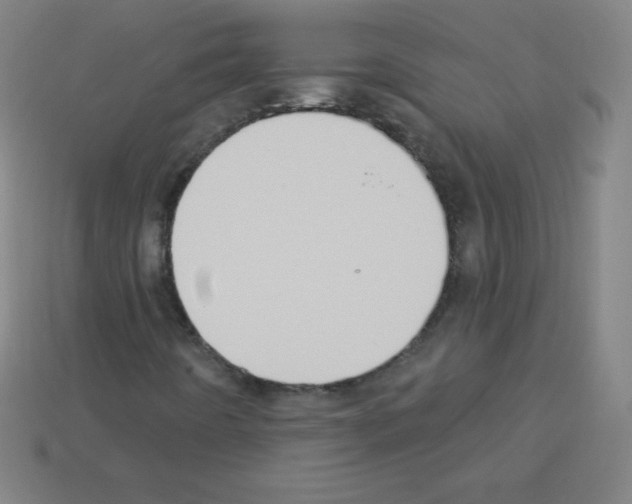 X0000113101442200910091130