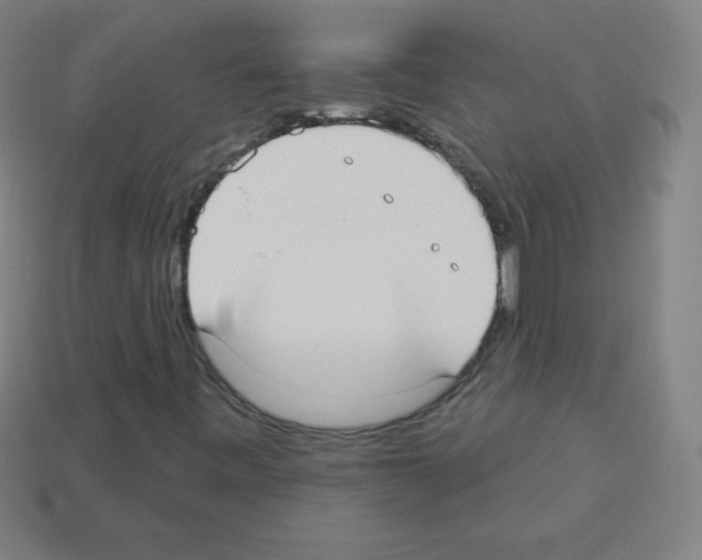 X0000113101443200910091130
