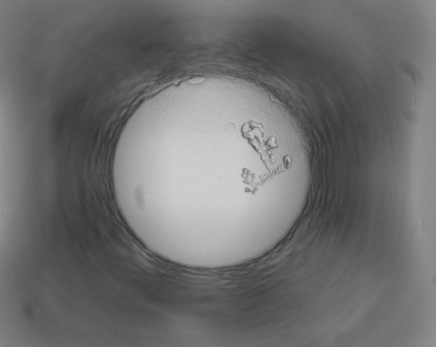 X0000113101444200910091129
