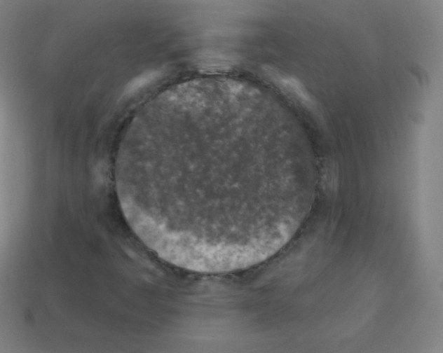 X0000113101445200910091129