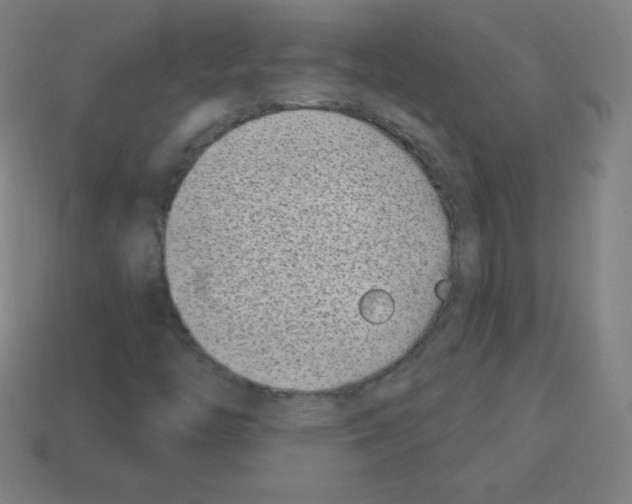 X0000113101446200910091129