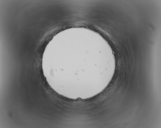 X0000113101447200910091129